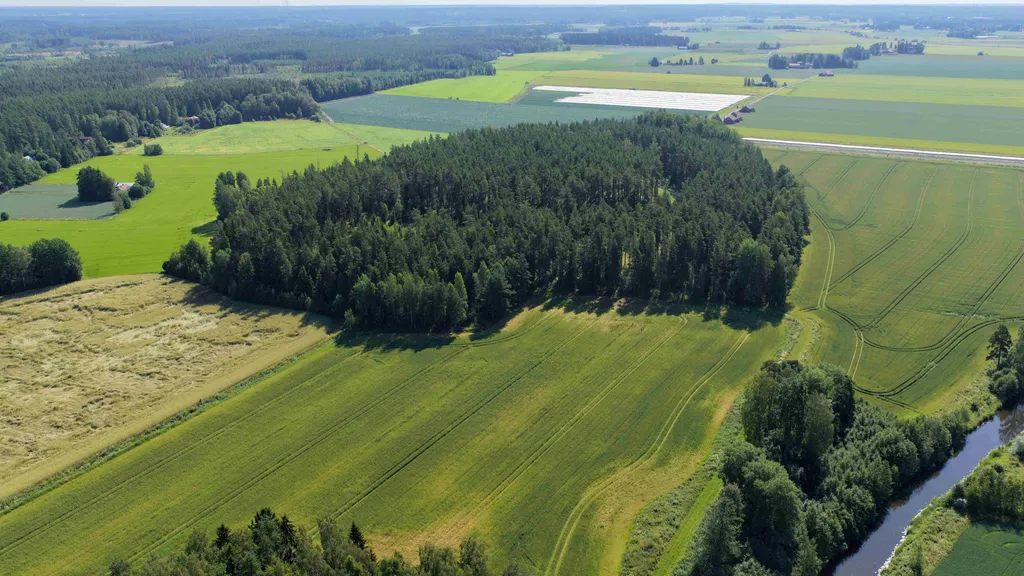 Esihistoriaseminaari