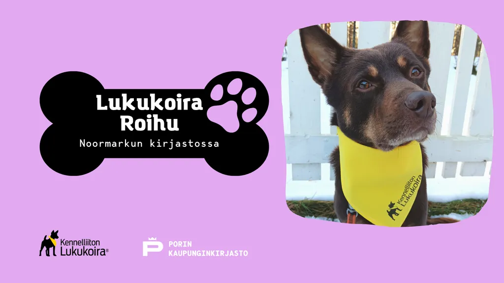 Lukukoira Roihu Noormarkun kirjastossa
