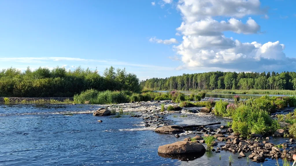Puurijärvi-Isosuo-kansallispuistoretki