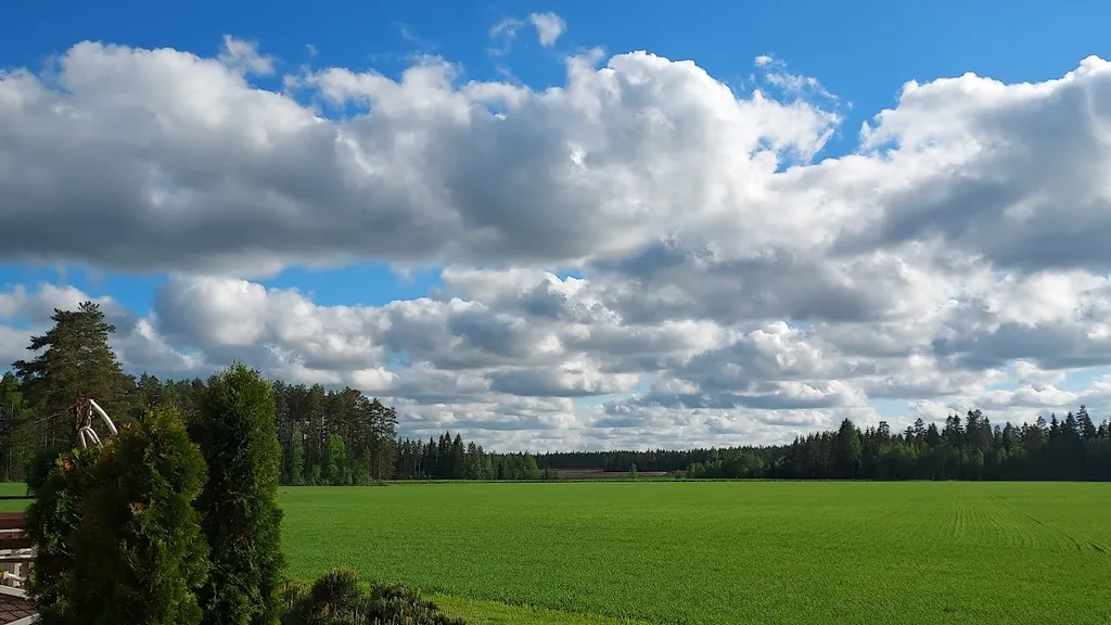Astman monet kasvot, verkkoluento
