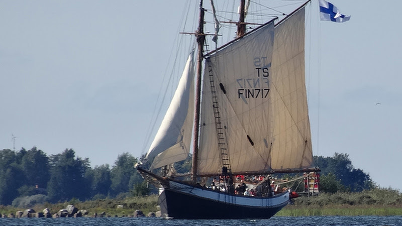 YLEISÖPURJEHDUS LUVIA (3H) – KAHVITARJOILU