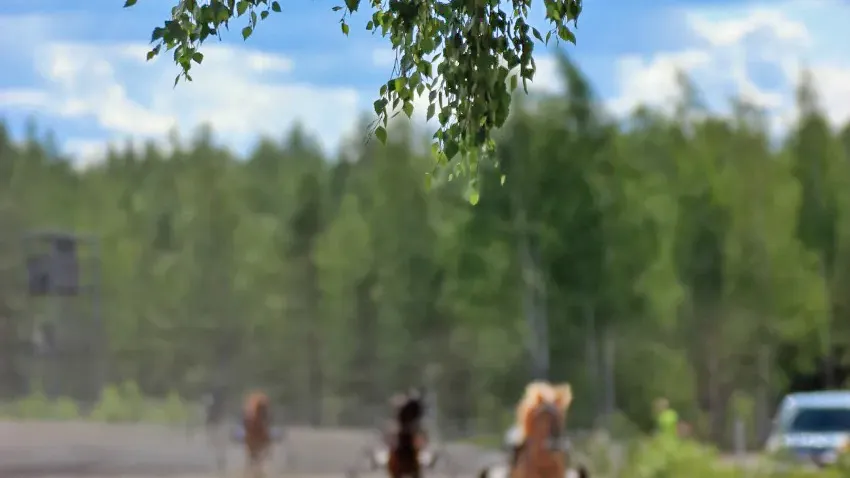 Kokemäen juhannusravit 2026