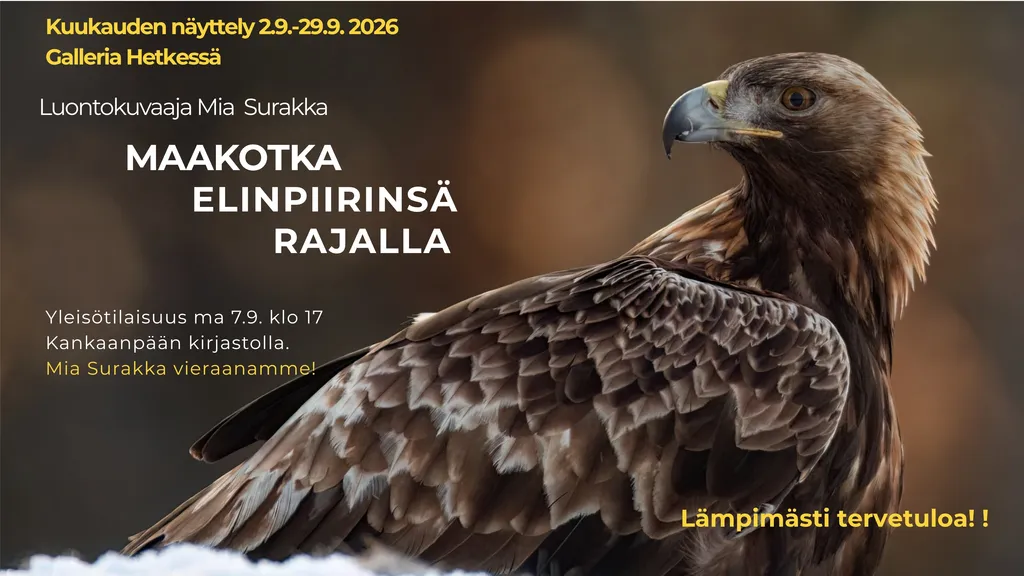 Maakotka elinpiirinsä rajalla
