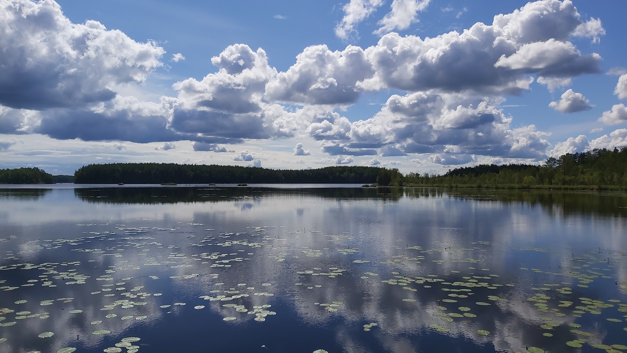 9 km polkujuoksu, Joutsijärvi 17.7.2023