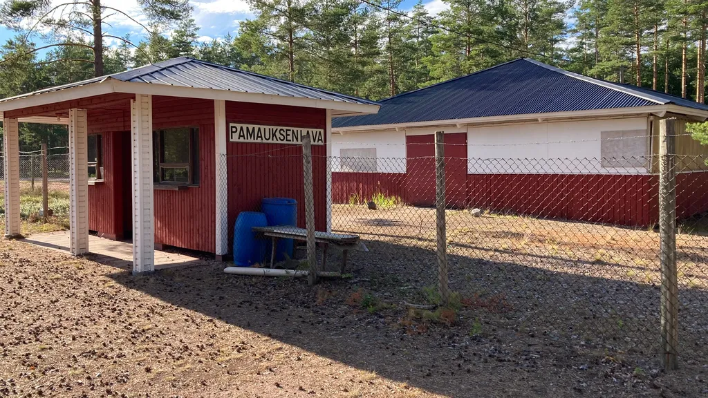 Pamauksen lavatanssit