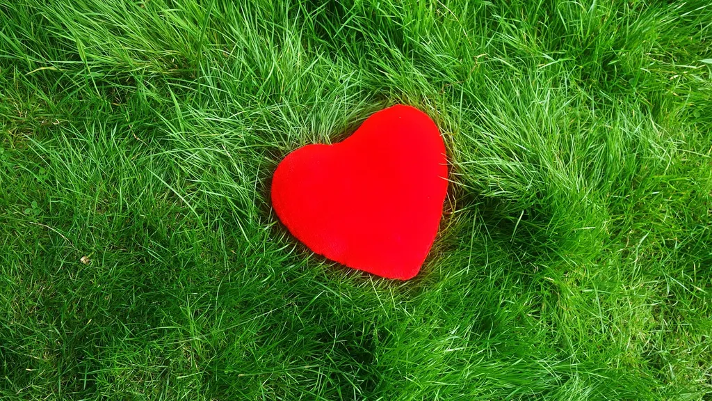 Sydänliiton luentosarja Kokemäen kirjastossa