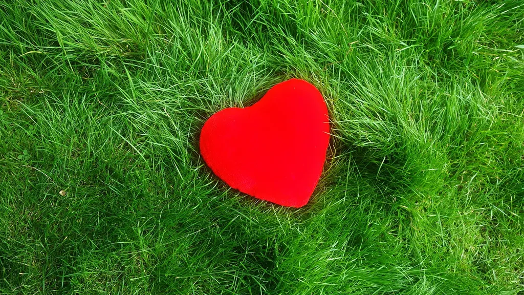 Sydänliiton luentosarja Kokemäen kirjastossa